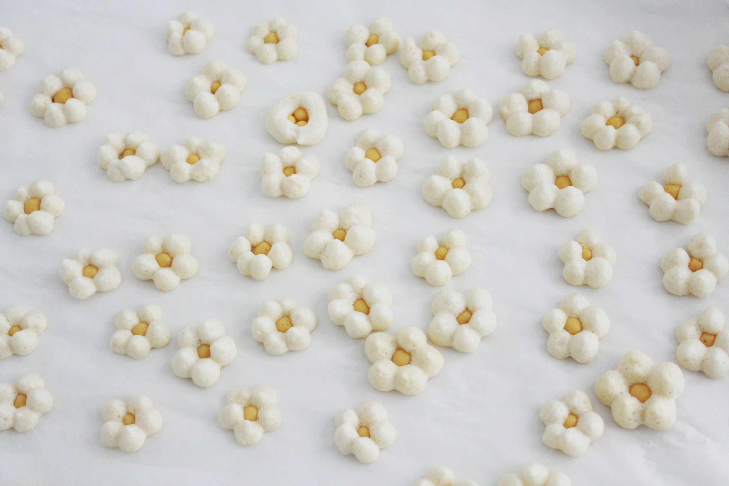 Flower melts by Kexin